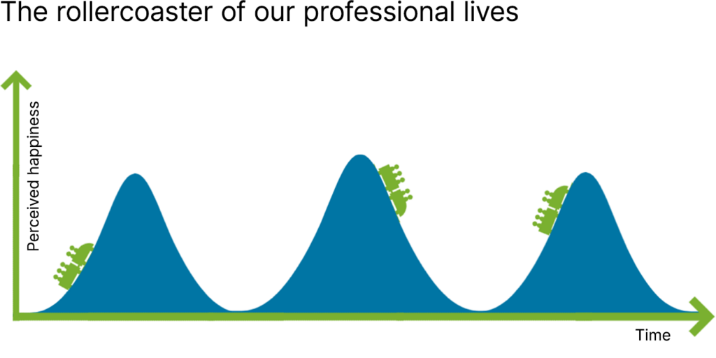 Welcome to the roller coaster of professional life! 3 tips for dealing ...