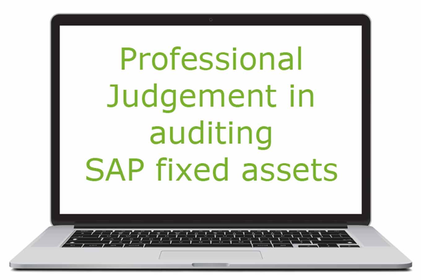 professional-judgement-in-auditing-sap-fixed-assets-zapliance